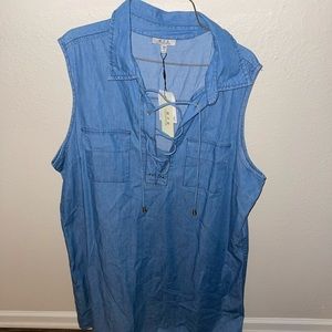 3X Denim Dress